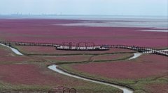 沿中国最北海岸线，聆听湿地之声音乐盛宴